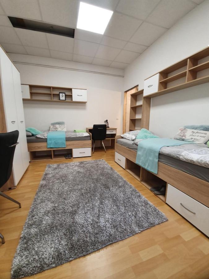 Maribor City Center Minidorm Apartment エクステリア 写真