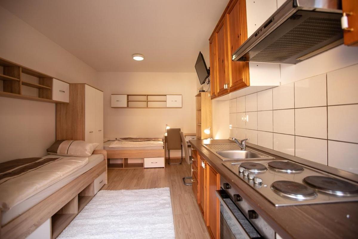 Maribor City Center Minidorm Apartment エクステリア 写真